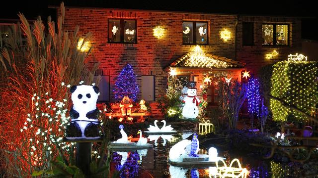 Fotografie: Bilder des Tages