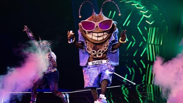 Fernsehen: US-Musiker bei "The Masked Singer" ausgeschieden