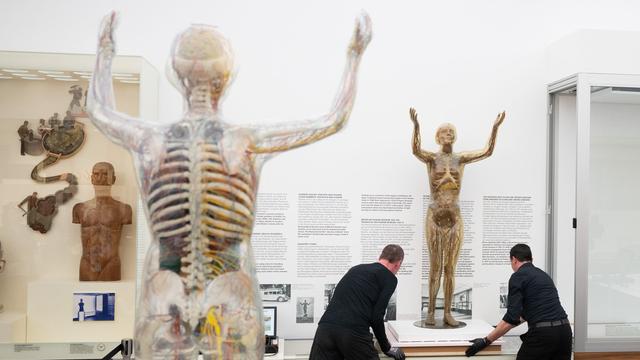 Ausstellungen: Gläserne Frau fortan in klimatisierter Vitrine zu sehen