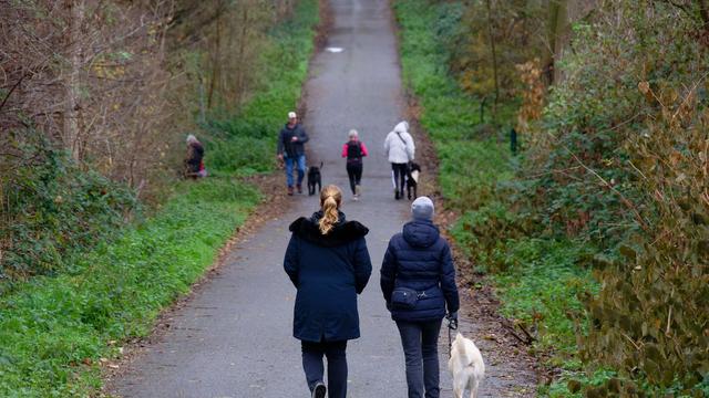 Wetter: Mildes Wetter zum meteorologischen Winteranfang