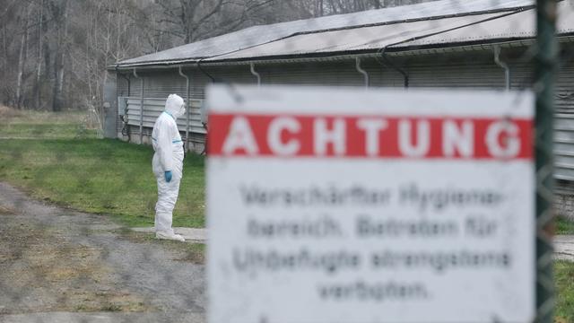 Tiere: Schutzmaßnahmen gegen Geflügelpest werden aufgehoben