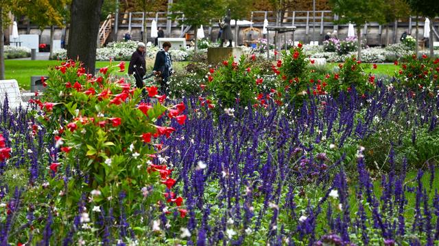 Ausstellung: Landesgartenschau in Wittenberg auf 2028 verschoben