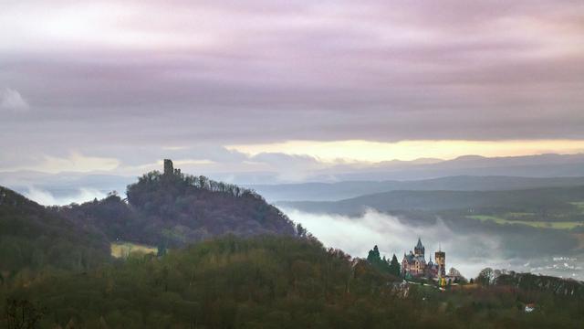 Freizeit: Neue Dino-Erlebniswelt zieht in ehemaliges Sea-Life-Gebäude