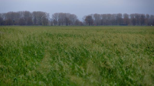 Vorhersage: Dichte Wolken und nasser Start in das Wochenende erwartet
