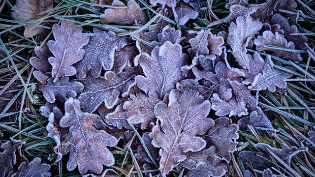 Wetter: Frost in Berlin und Brandenburg