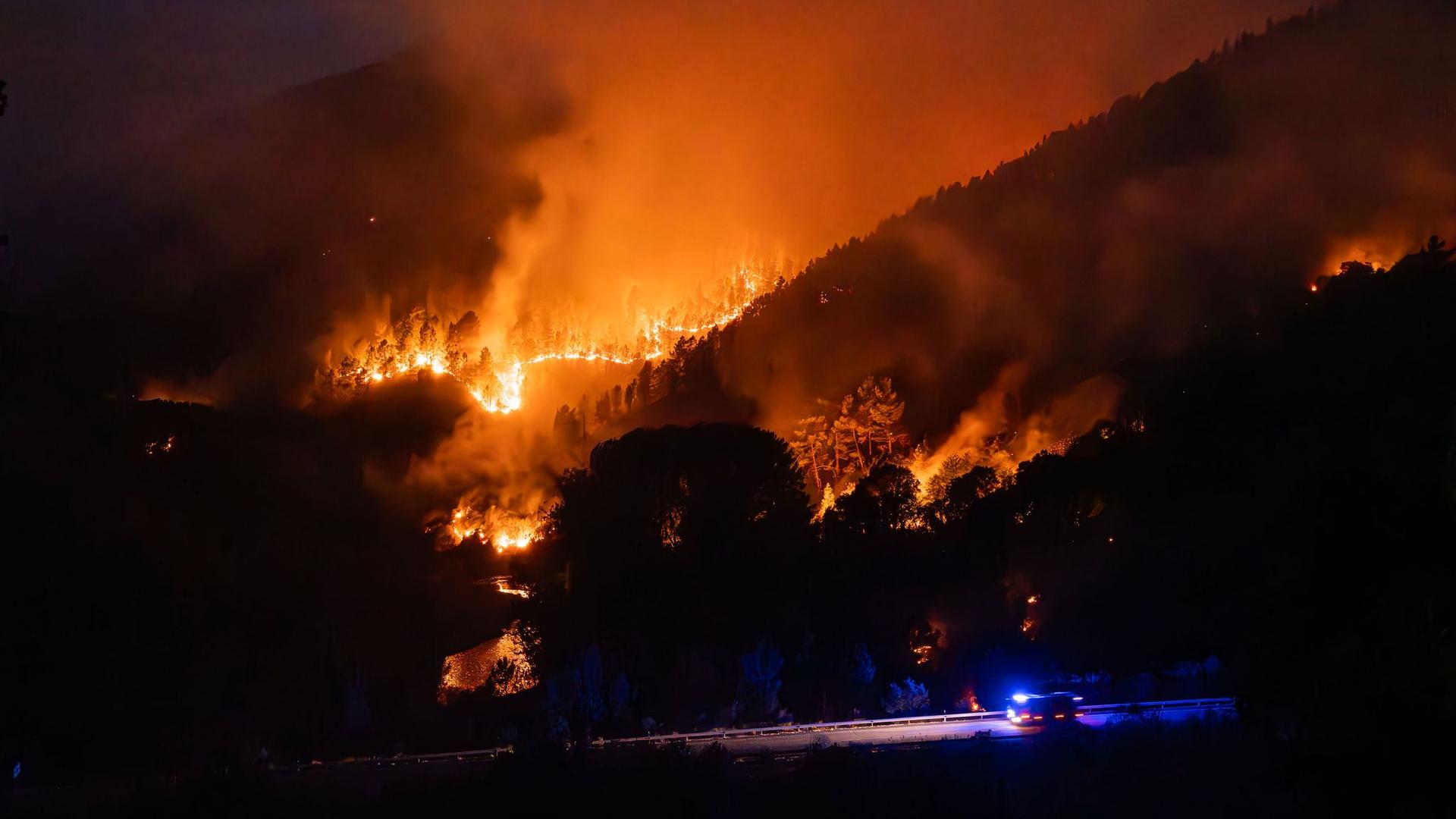 Klimawandeldienst: Waldbrände verursachen Rekord-Emissionen in Europa