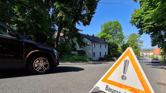 Tiere: Seilbrücke in Nürnberg soll Eichhörnchen vor Autos schützen