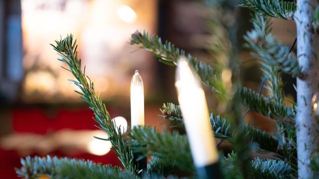 Weihnachtsmarkt: Diebe wollen Weihnachtsbaum von Marktplatz stehlen