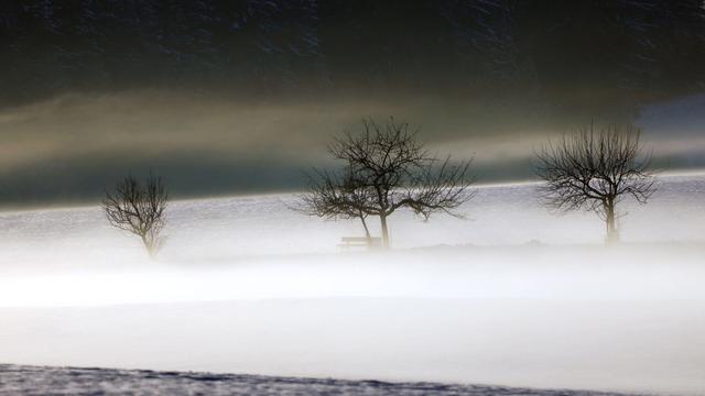Wetter in Bayern: Trüber Start ins Wochenende - milde Temperaturen