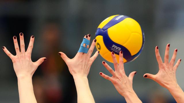 Volleyball Bundesliga: Dresdner Volleyballerinnen feiern Pflichtsieg in Borken