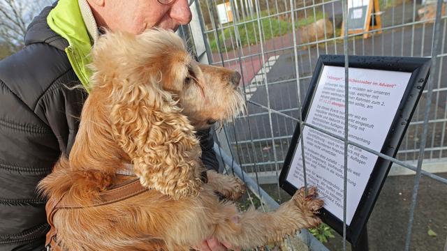 Feste: Hunde-Weihnachtsmarkt in Magdeburg kurzfristig abgesagt