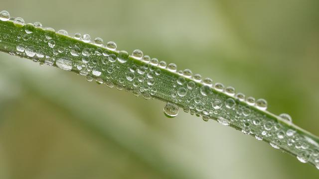 Wetterbericht: Regen und Wind zum Advent - ab Montag wird es milder