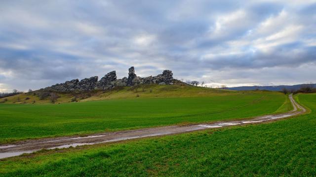 Wetter: Sachsen-Anhalt erlebt Dezember mit Frühlings-Temperaturen