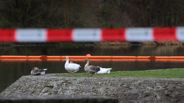 Wasserstraße: Main nach Dieselaustritt vorerst für Schifffahrt gesperrt