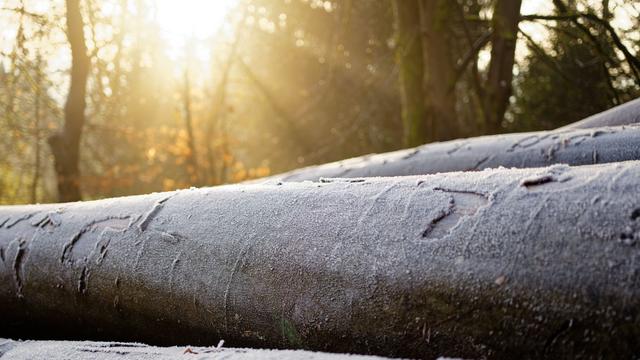 Wetterbericht: Nach Dauerregen: Im Südwesten zeigt sich wieder die Sonne