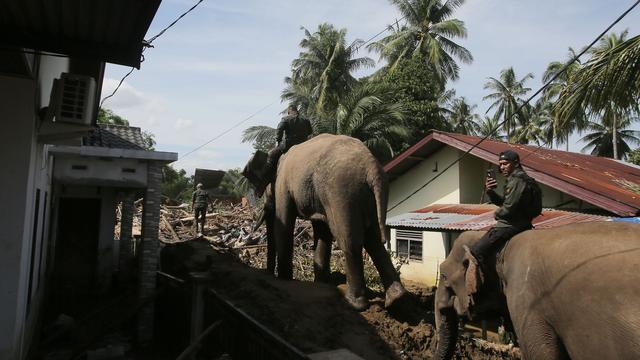 Monsun-Saison: Regenfluten in Indonesien - fast 1.000 Tote auf Sumatra