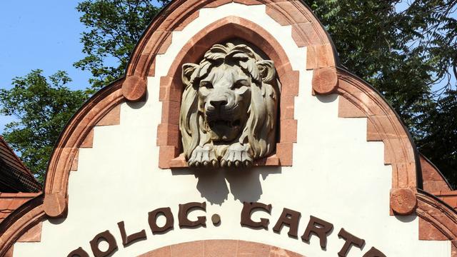 Tierpark: Vogelgrippe-Fall im Zoo Leipzig – Anlagen gesperrt