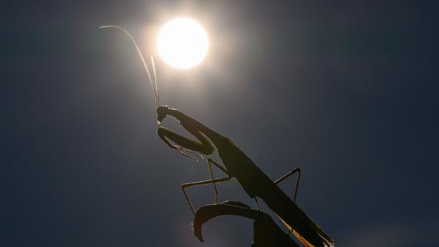 Vorläufige Klimabilanz: 2025 dürfte eines der drei heißesten Jahre werden