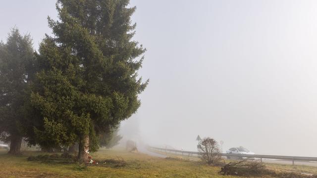 Im Streifenwagen: Bei Unfall getöteter Polizist - "War geschätzter Kollege"