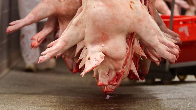 Notfall: Blutspur löst Polizeieinsatz aus