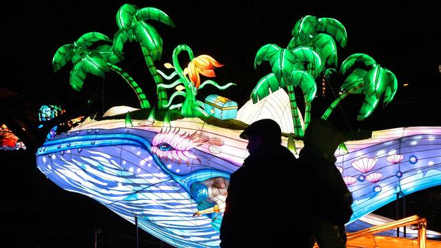 Chinesische Tradition: Magische Lichterwelten beginnen im Bergzoo Halle