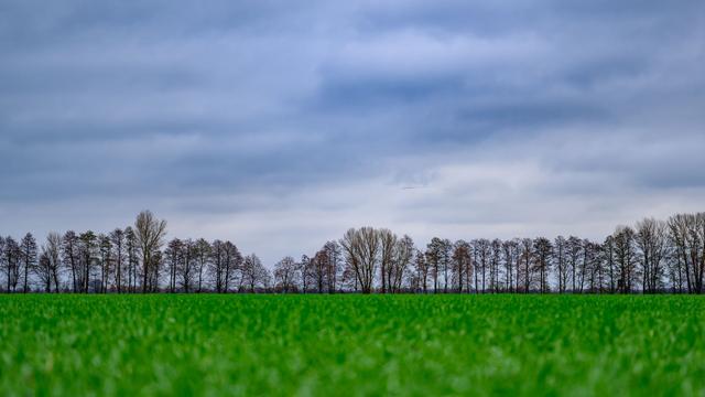Wetter: Milde Temperaturen in Berlin und Brandenburg