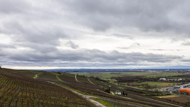DWD-Prognose: Mildes Adventswetter - bis zu 16 Grad im Südwesten