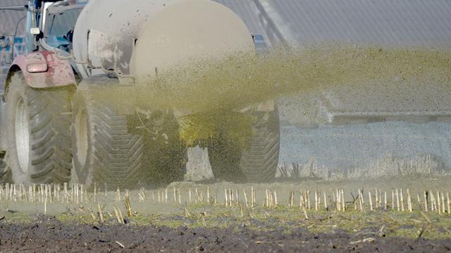 Kriminalität: Unbekannte schütten Gülle gegen Haustür