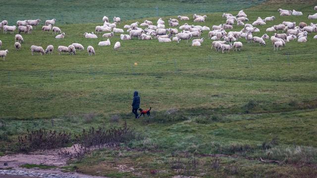 Vorhersage: Weiter ungewöhnlich mildes Wetter in NRW
