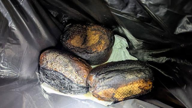 Feuerwehr: Brötchen in der Mikrowelle - Senior im Krankenhaus