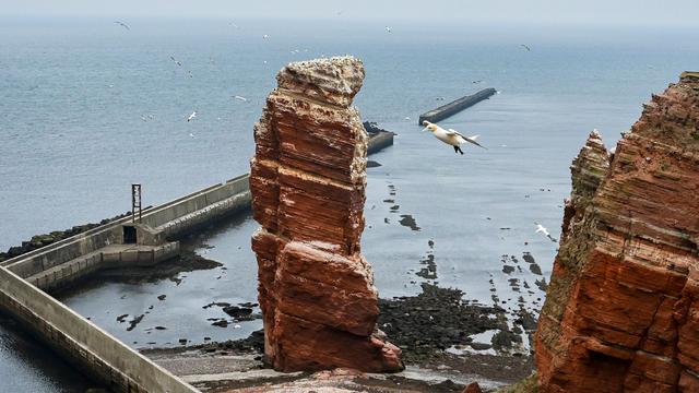 Genossenschaften: Helgoland bekommt wieder einen Bäcker