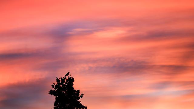 Wetter: Milde Temperaturen in Sachsen