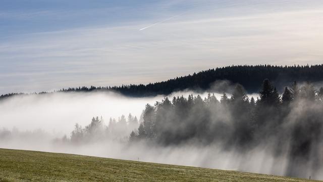Vorhersage: Nebel, Wolken und kaum Regen im Südwesten