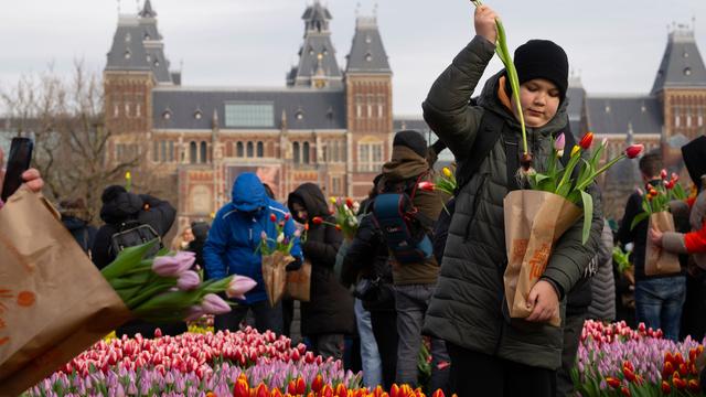 Schienenverkehr: Neue direkte Zugverbindung von Hamburg nach Amsterdam