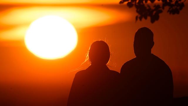 Partnertreue unter Säugetieren: Säuger-Vergleich: Der Mensch ist eine monogame Art