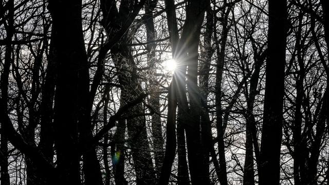 Wetter: Weiterhin mildes Wetter in Berlin und Brandenburg