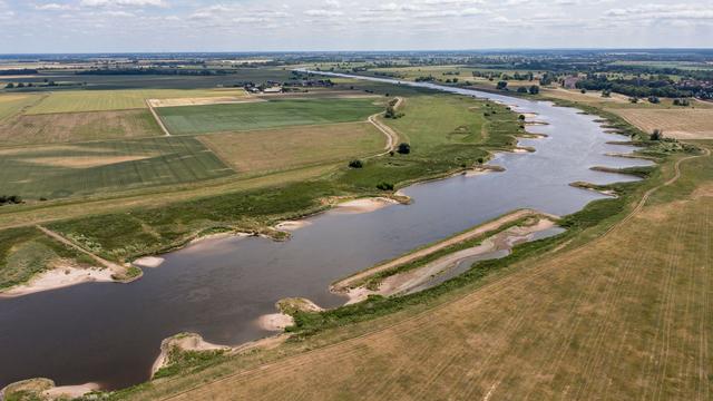 Umwelt und Natur: Auen an Elbe und Schwarzer Elster werden renaturiert
