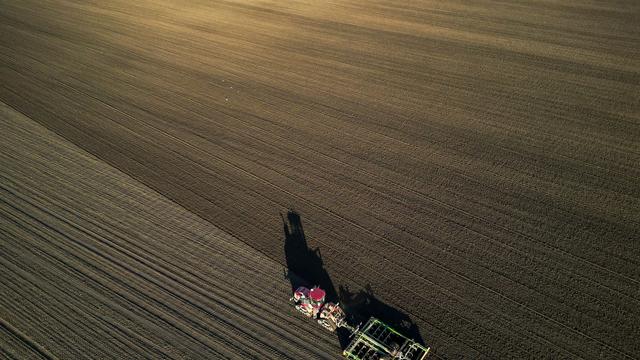 Lebensmittel: Bauern besorgt: Kosten steigen, Preise fallen
