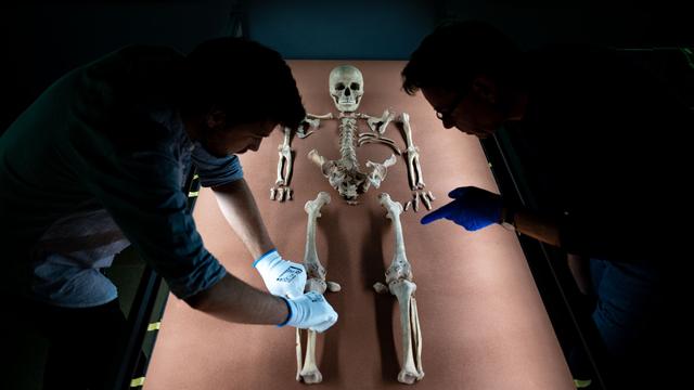 Archäologie: Schamanin von Bad Dürrenberg mit Federschmuck begraben