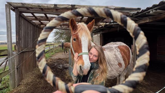 Emotionales Handwerk: Schmuck aus Pferdehaar - Peinerin fertigt emotionale Kunst