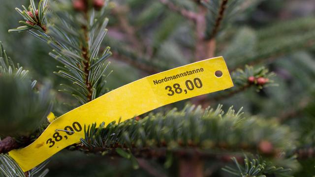 Kriminalität: Weihnachtsbäume gestohlen: Täter schlagen in Oranienburg zu