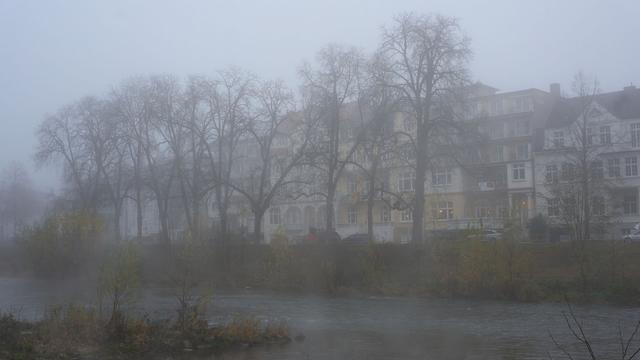 Vorhersage: Mild und nebelig in Rheinland-Pfalz und dem Saarland