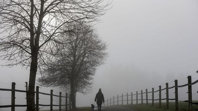 Vorhersage: Trübes Wetter in Hessen in den kommenden Tagen