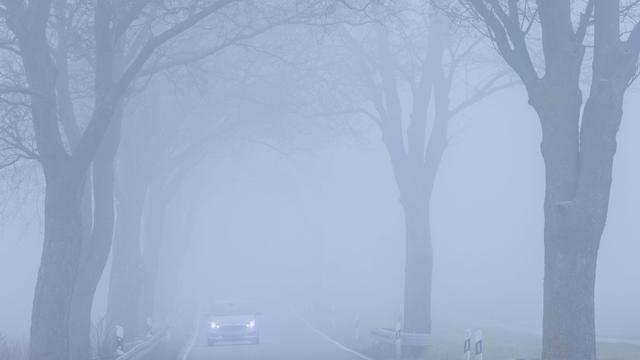 Unfälle: Vollbesetzter Schulbus verfehlt im Nebel Abbiegung