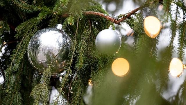 Gemeindebaum: Weihnachtsbaum vor Rathaus umgesägt - vierstelliger Schaden