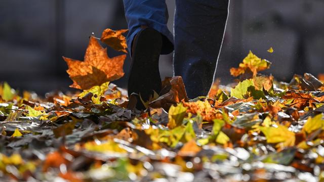 Wetter: Heiteres Wetter zum Wochenstart in Rheinland-Pfalz