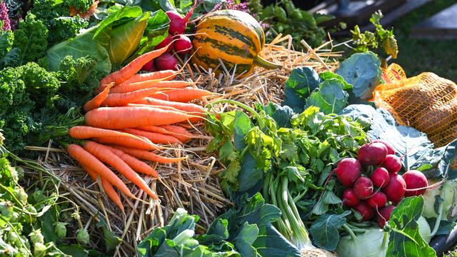 Für Messen und mehr: Möhren-Marketing: Fördermittel für Agrarprodukte-Vermarktung