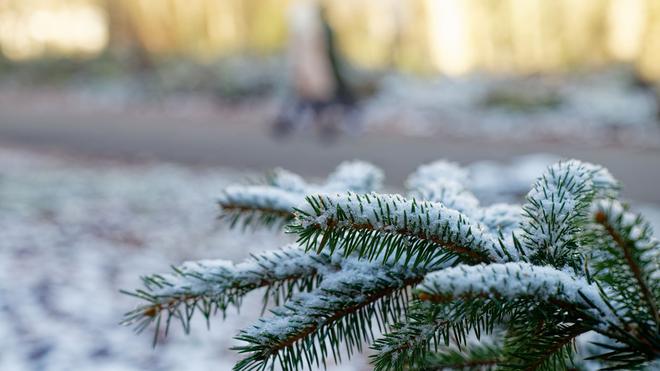 Wetter an Weihnachten: Die Chancen auf weiße Weihnachten sind in der vergangenen Zeit zunehmend gesunken. (Archivbild)