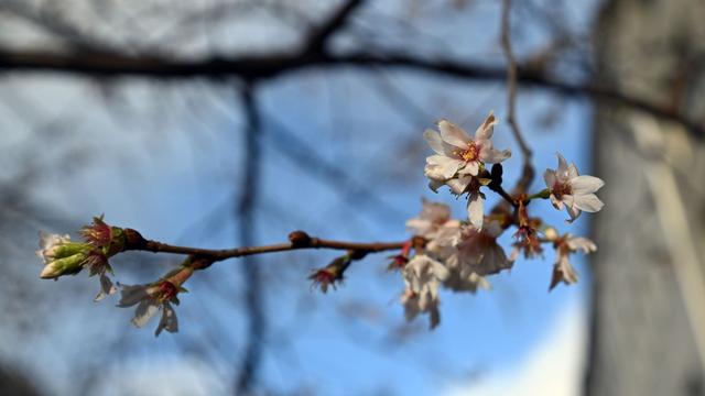 Wetter: Bis zu 13 Grad – NRW bekommt freundliche Wintertage