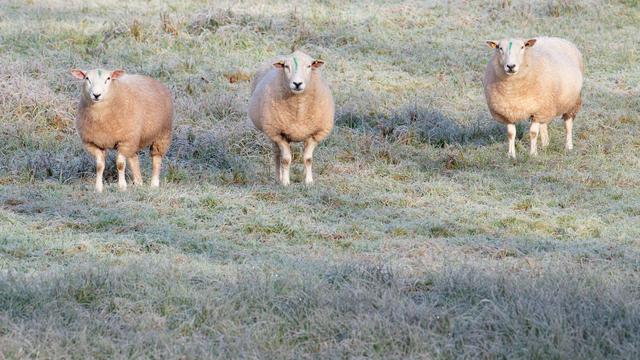 Wetter: Morgens Nebel, später Sonne – Wetter bleibt wechselhaft